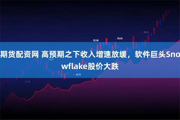 期货配资网 高预期之下收入增速放缓，软件巨头Snowflake股价大跌
