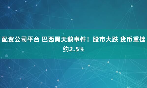 配资公司平台 巴西黑天鹅事件！股市大跌 货币重挫约2.5%