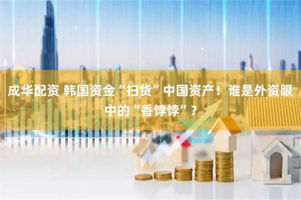 成华配资 韩国资金“扫货”中国资产！谁是外资眼中的“香饽饽”？